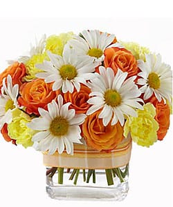 Жарден Флорист